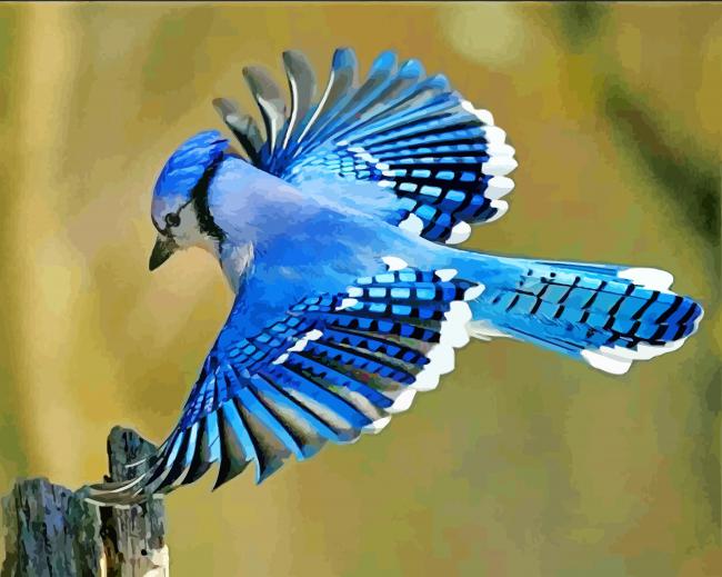 Flying Blue Jay Bird Paint By Numbers - Numeral Paint Kit