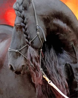 Friesian horse paint by numbers