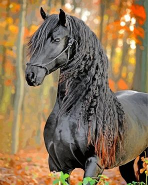 Friesian paint by number