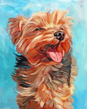 Morkie dog paint by numbers