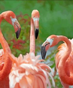 Orange Flamingos paint by numbers