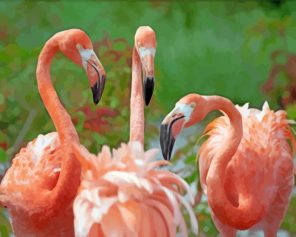 Orange Flamingos paint by numbers