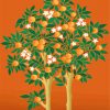 Orange Tree illustration paint by number