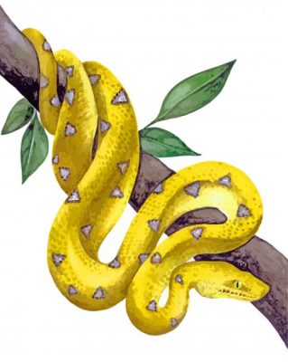 Royal Python paint by numbers