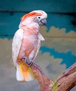 Salmon Crested Cockatoo bird paint by number