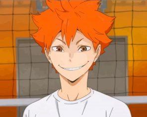 Shoyo Hinata Haikyu Player Paint By Numbers - Numeral Paint Kit