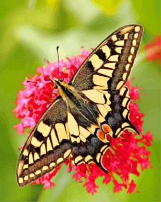 Swallowtail Lepidoptera Butterfly paint by number