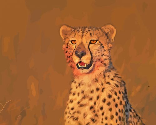 Wild Cheetah Animal Paint By Numbers - Numeral Paint Kit