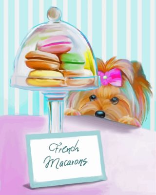 Yorkie Dog And Macarons paint by numbers