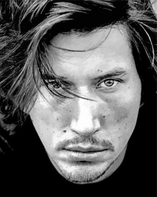 Adam Driver paint by number