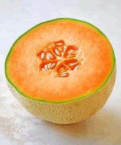 Aesthetic Cantaloupe Fruit paint by numbers