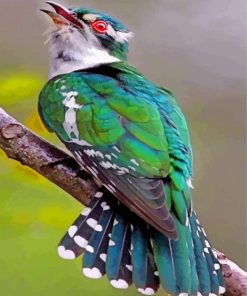 aesthetic green cuckoo bird paint by numbers