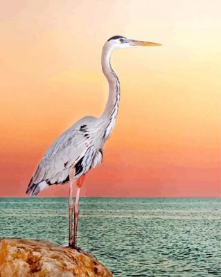 blue heron paint by numbers