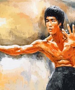 bruce lee warrior paint by numbers