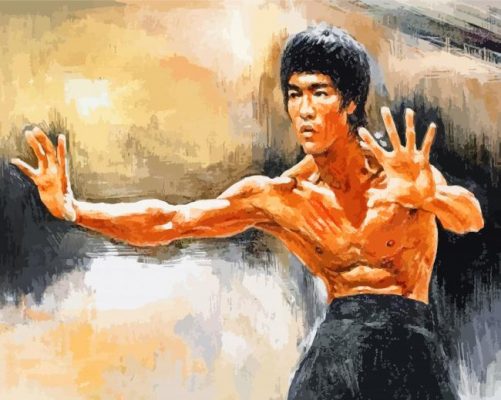 bruce lee warrior paint by numbers