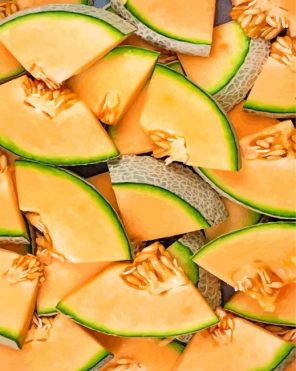 cantaloupe slices paint by numbers