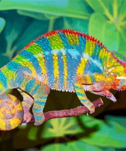 Colorful Chameleon paint by number