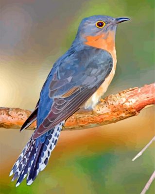 cuckoo bird paint by numbers