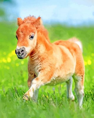 cute foal paint by number