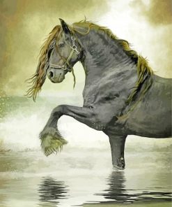 friesian art paint by number