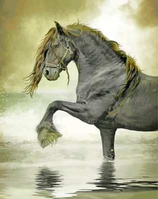 friesian art paint by number
