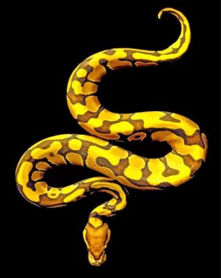 golden Royal Python paint by numbers