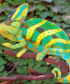 green and yellow chameleon paint by number