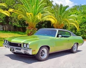 green buick skylark paint by numbers