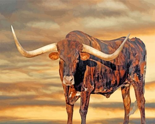 Longhorn paint by numbers