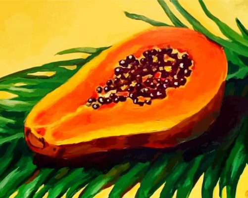 Papaya Illustration paint by numbers