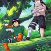 rock lee and neji paint by number
