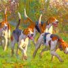 scent hounds dogs paint by numbers