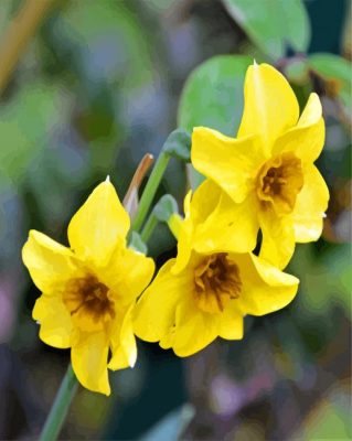 Yellow Narcissus paint by numbers