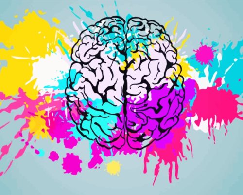 https://numeralpaint.com/wp-content/uploads/2021/10/Colorful-Splash-Human-Brain-paint-by-numbers-500x400.jpg