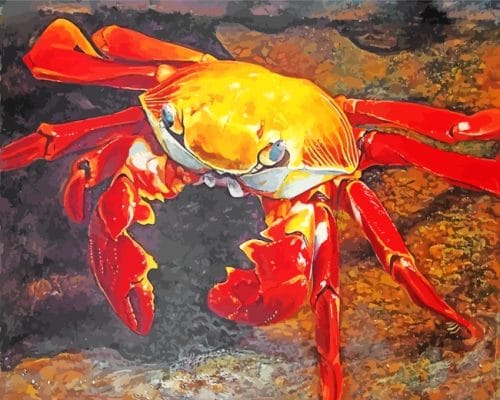 Crab Art paint by numbers