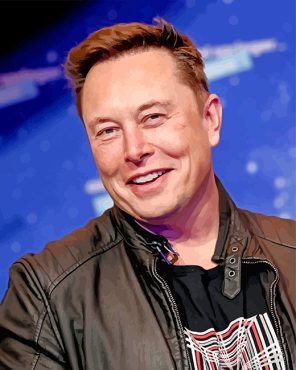 Elon Musk Smiling paint by numbers