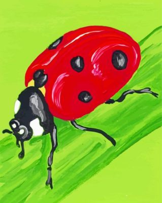 Lady Insect paint by numbers