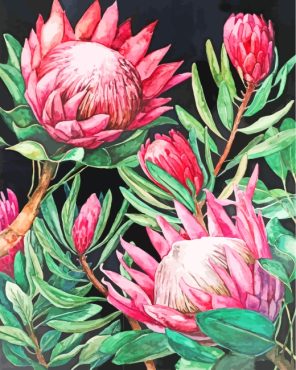 Pink Protea Paint By Numbers - Numeral Paint Kit