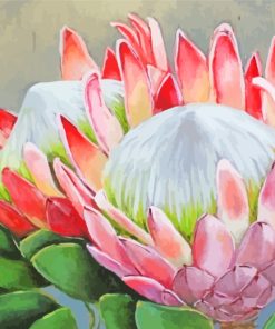 Protea Plants Art paint by numbers