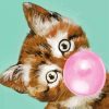 Kitty Blowing paint by numbers