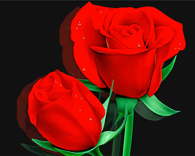 Red Roses - Quantity from 10 on