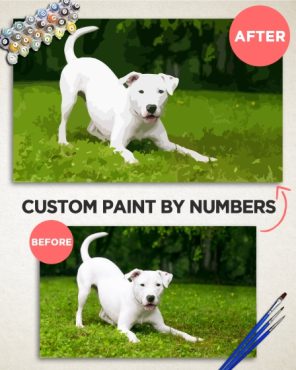 Custom Paint By Numbers
