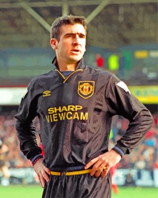 Eris Cantona Manchester paint by numbers
