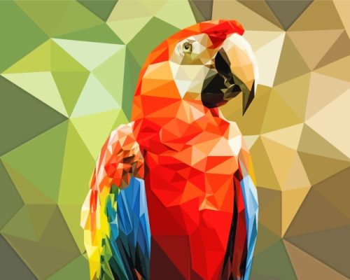 Geometric Parrot paint by numbers