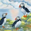 Puffin Birds Family Paint by numbers