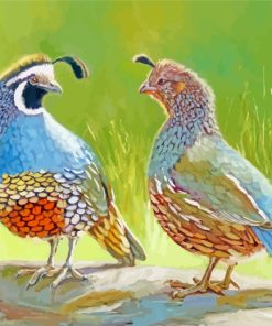 Quail Couple paint by numbers