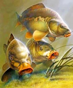 Carp Fishes paint by numbers