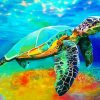 Colorful Sea Turtle paint by numbers