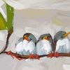 Cute Birds paint by numbers