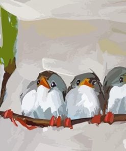 Cute Birds paint by numbers